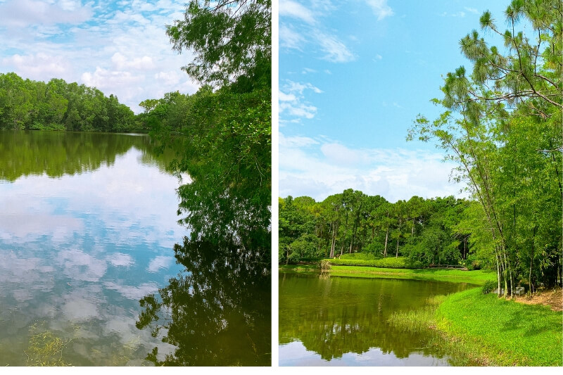 Morikami Museum and Japanese Gardens