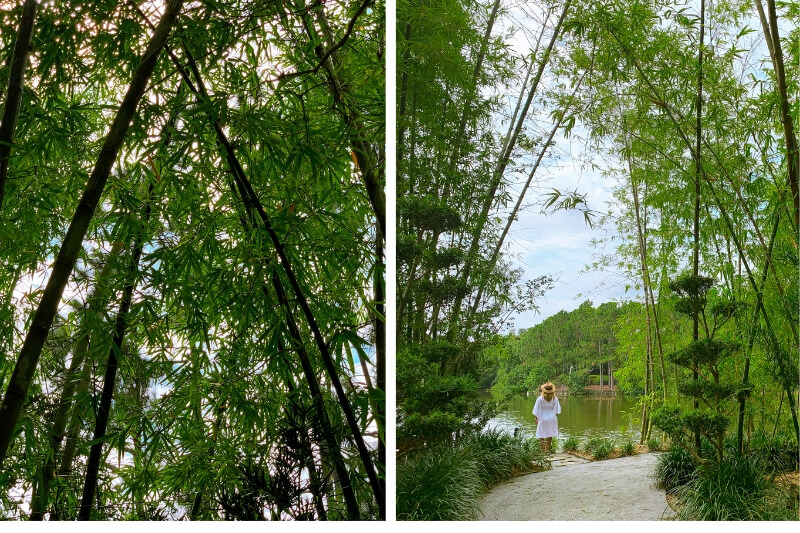 Japanese Gardens are know as Roji-en: Garden of the Drops of Dew