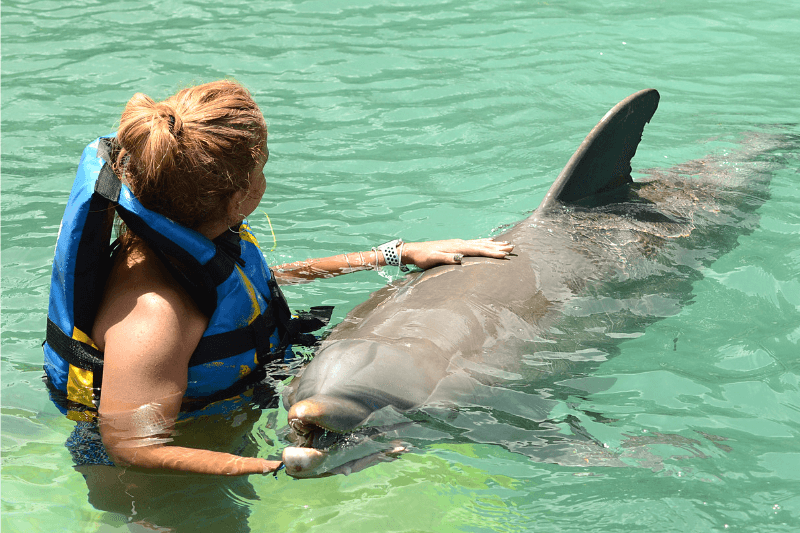 Dolphin Cove in Ocho Rios