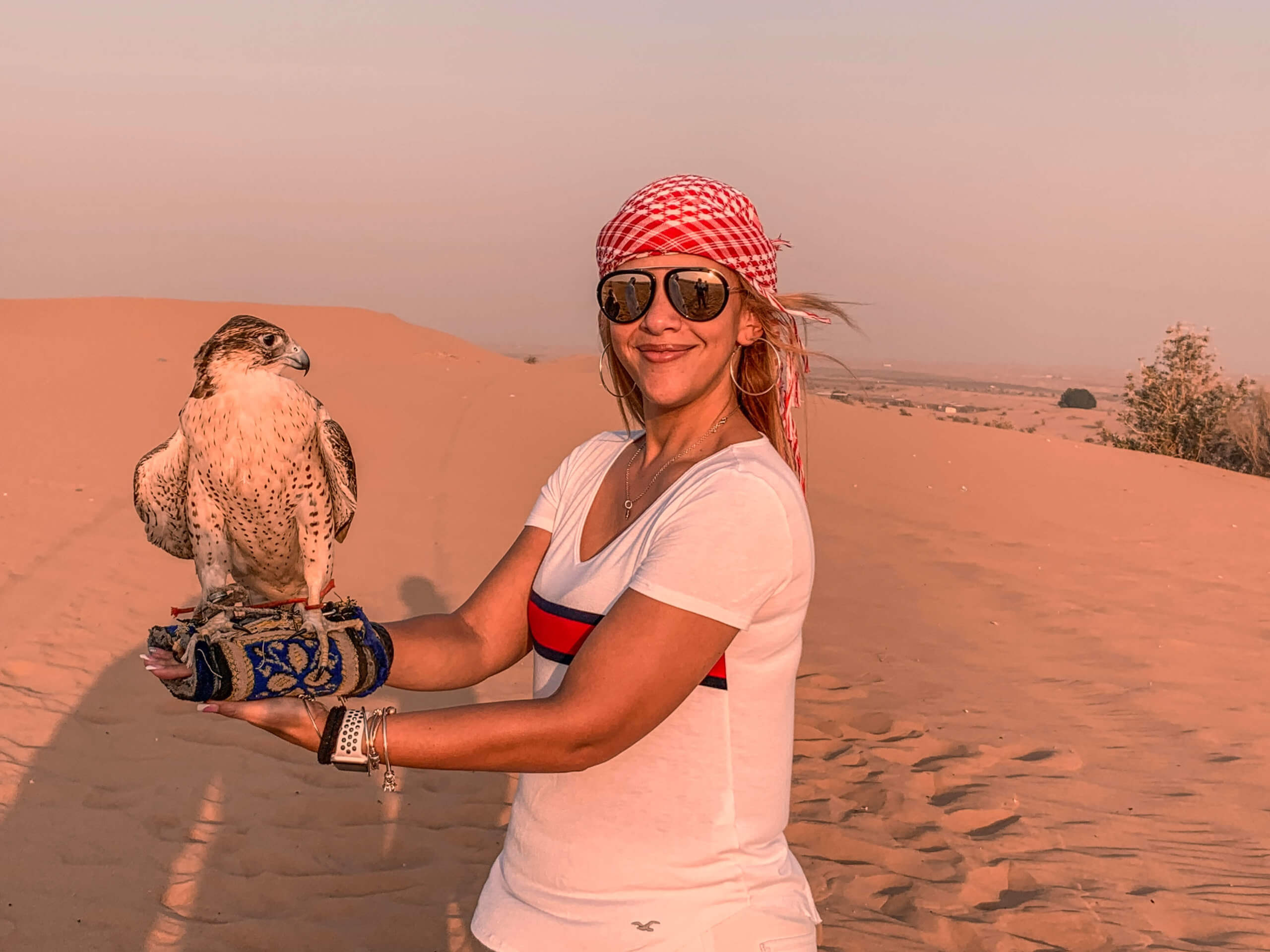 Desert Safari in Dubai | Falcon