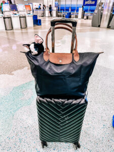 Longchamp Le Pliage Tote: The Ultimate Size & Style Guide