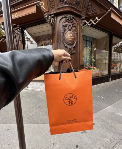 Hermes Paris George V Store