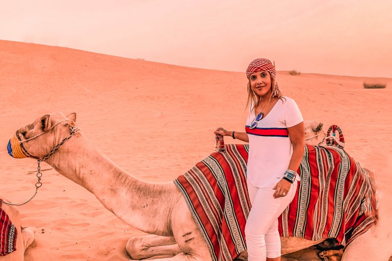 Desert Safari in Dubai | Camel